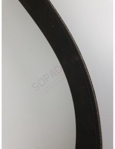 Courroie Poly V 1428 J20N