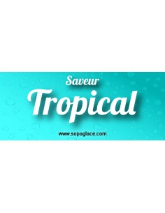 Master saveur Tropical